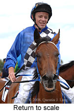 Return to scale (15361 bytes)