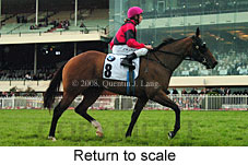 Return to scale (15361 bytes)