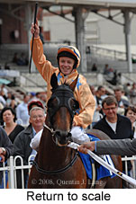 Return to scale (15361 bytes)