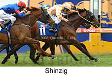 Shinzig (19622 bytes)