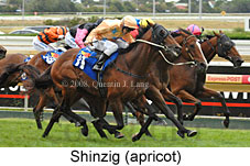 Shinzig (14872 bytes)