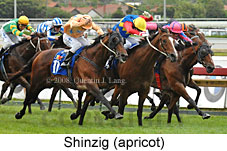 Shinzig (14872 bytes)