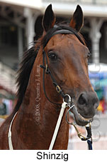 Shinzig (14872 bytes)