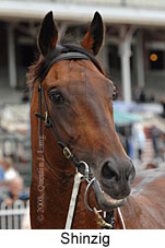 Shinzig (14872 bytes)