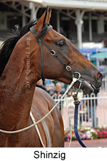 Shinzig (14872 bytes)