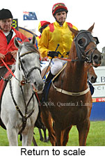 Return to scale (15361 bytes)