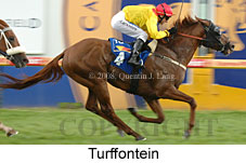 Turffontein (14872 bytes)