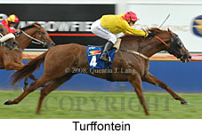 Turffontein (14872 bytes)