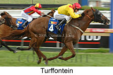 Turffontein (14872 bytes)