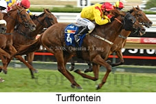 Turffontein (14872 bytes)