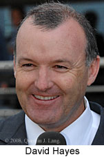 David Hayes (14872 bytes)