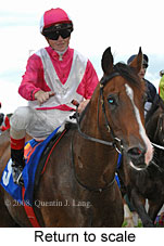 Return to scale (15361 bytes)