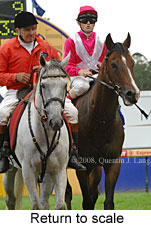 Return to scale (15361 bytes)