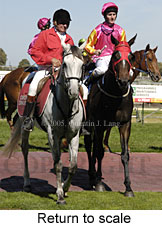 Return to scale (14008 bytes)