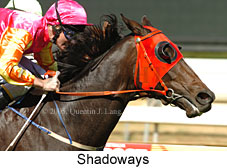 Shadoways (14772 bytes)