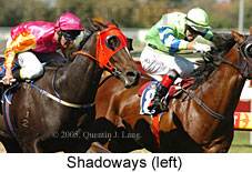 Shadoways (14772 bytes)