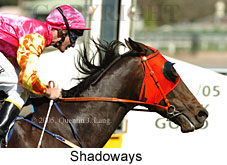 Shadoways (14772 bytes)