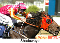 Shadoways (14772 bytes)