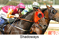 Shadoways (14772 bytes)