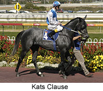 Kats Clause (14772 bytes)