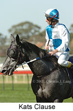 Kats Clause (14772 bytes)