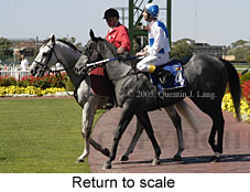 Return to scale (14008 bytes)