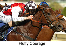 Fluffy Courage (14772 bytes)