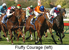 Fluffy Courage (14772 bytes)