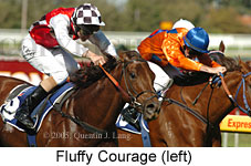 Fluffy Courage (14772 bytes)