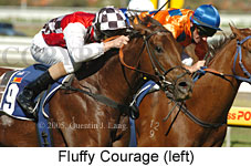 Fluffy Courage (14772 bytes)