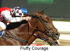 Fluffy Courage (14772 bytes)