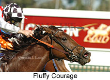 Fluffy Courage (14772 bytes)