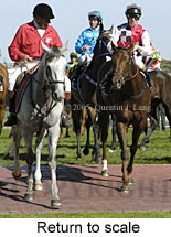 Return to scale (14008 bytes)