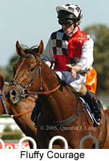 Return to scale (14008 bytes)