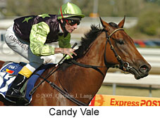 Candy Vale (14772 bytes)