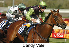 Candy Vale (14772 bytes)