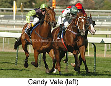 Candy Vale (14772 bytes)