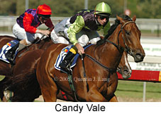 Candy Vale (14772 bytes)