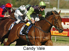 Candy Vale (14772 bytes)