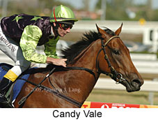 Candy Vale (14772 bytes)