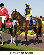 Return to scale (14008 bytes)