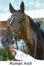 Roman Arch (14772 bytes)