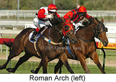 Roman Arch (14772 bytes)