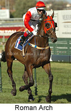 Roman Arch (14772 bytes)