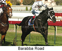 Barabba Road (14772 bytes)