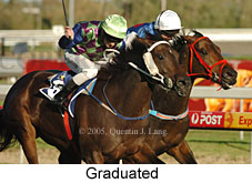 Graduated (14772 bytes)