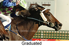 Graduated (14772 bytes)