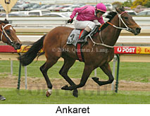 Ankaret (16519 bytes)