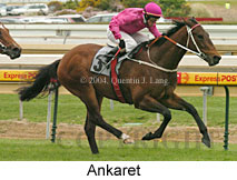 Ankaret (16519 bytes)