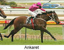 Ankaret (16519 bytes)